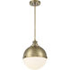 Vorey 1 Light 13 inch Oxidized Aged Brass Pendant Ceiling Light